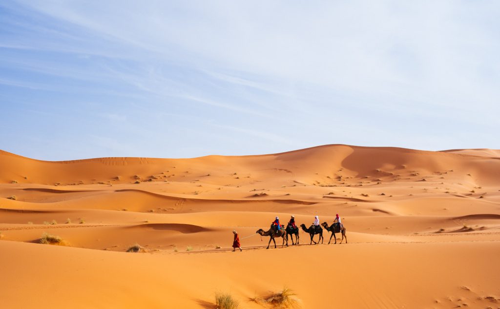 merzouga desert tours